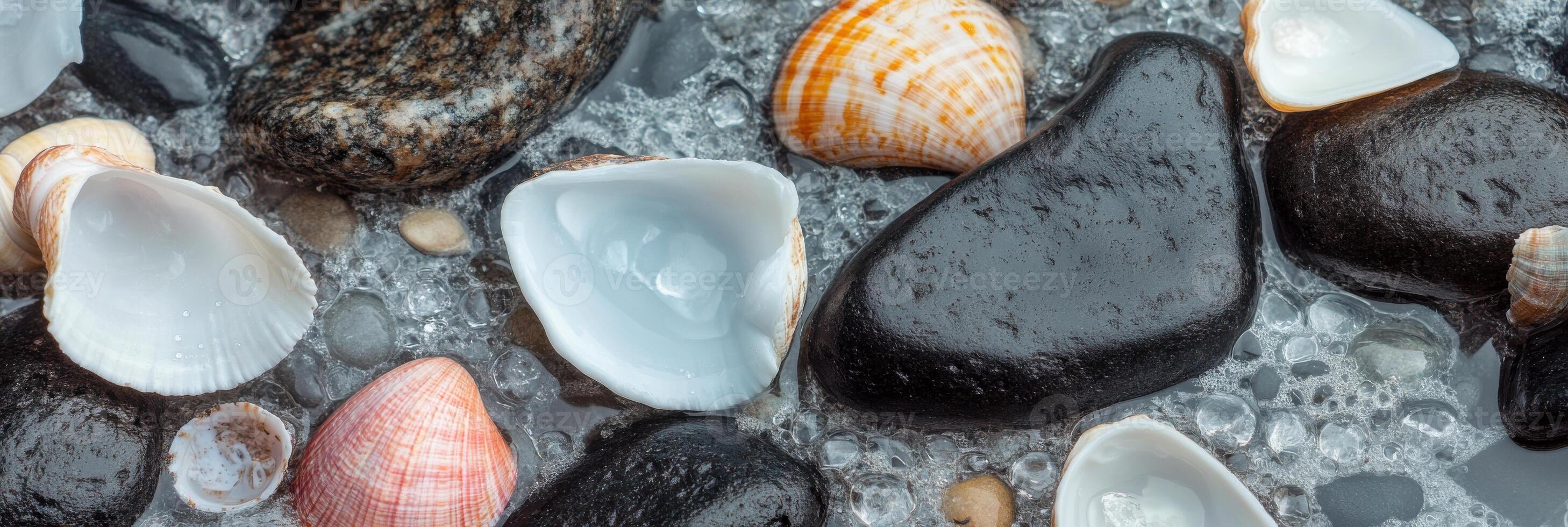 Shells and smooth black stones with water droplets on a textured surface photo