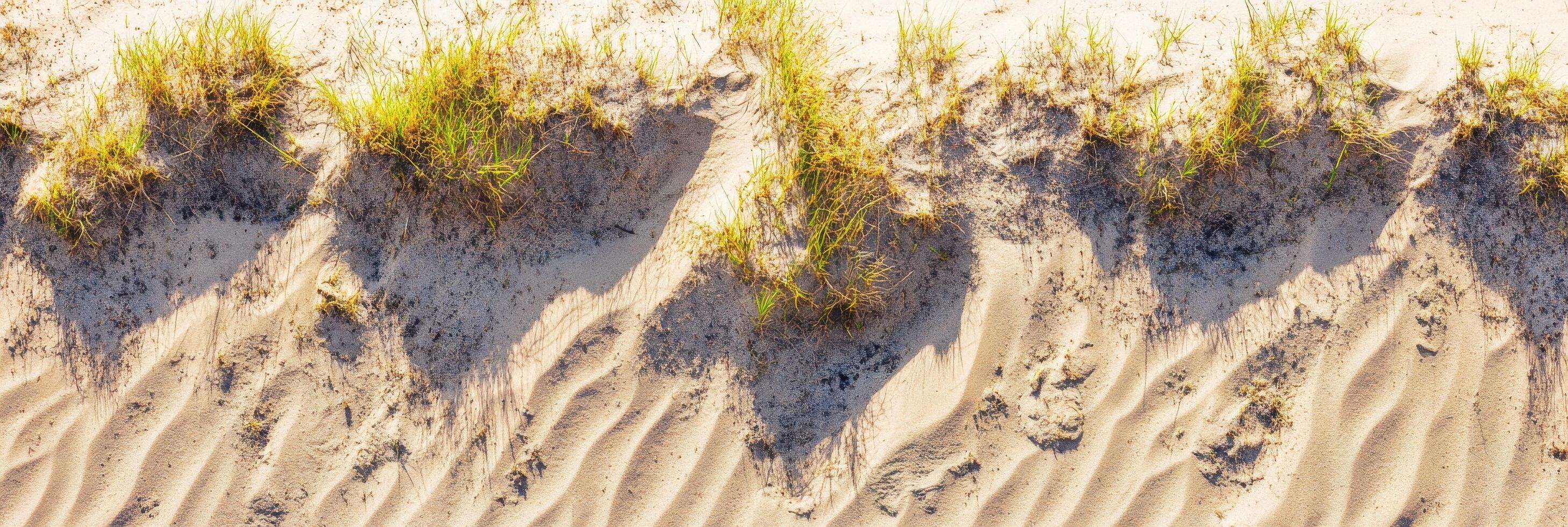 Sandy beach patterns with grass and shadows creating natural texture photo