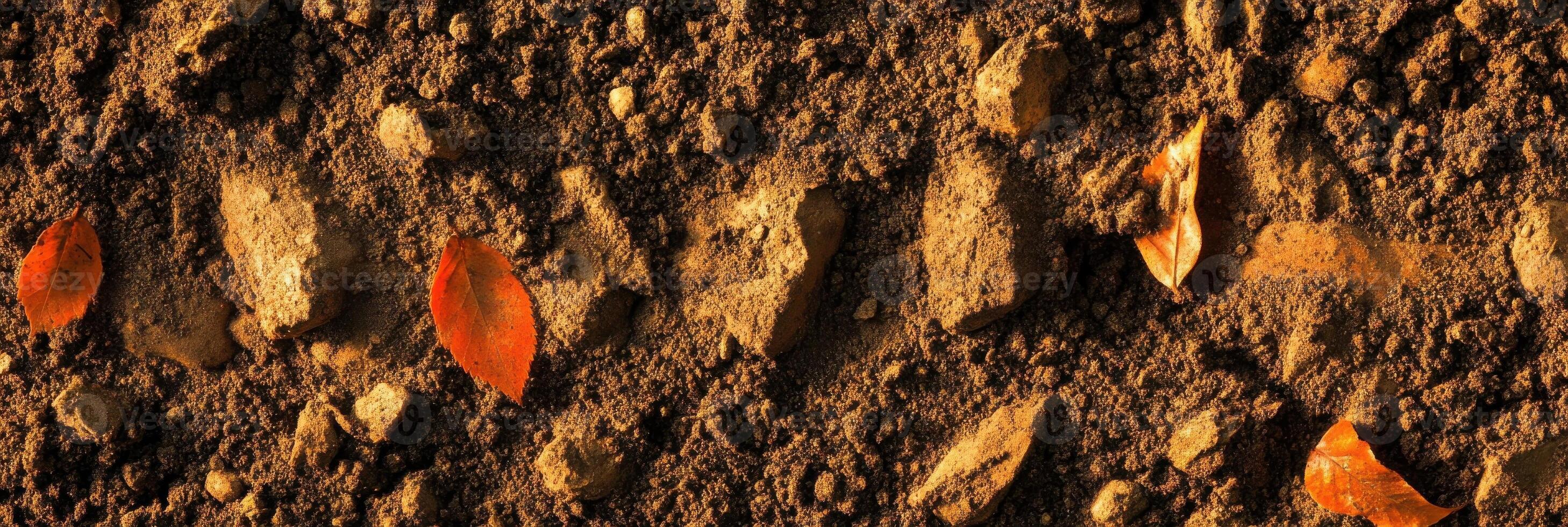 Brown soil texture with scattered red leaves and rocks creating natural patterns photo