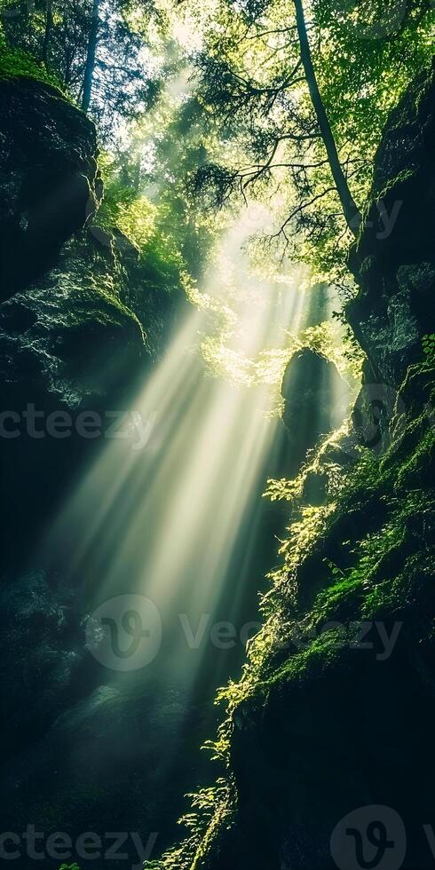 Sunbeams Streaming Through Majestic Forest Canopy in Breathtaking Sunlight photo