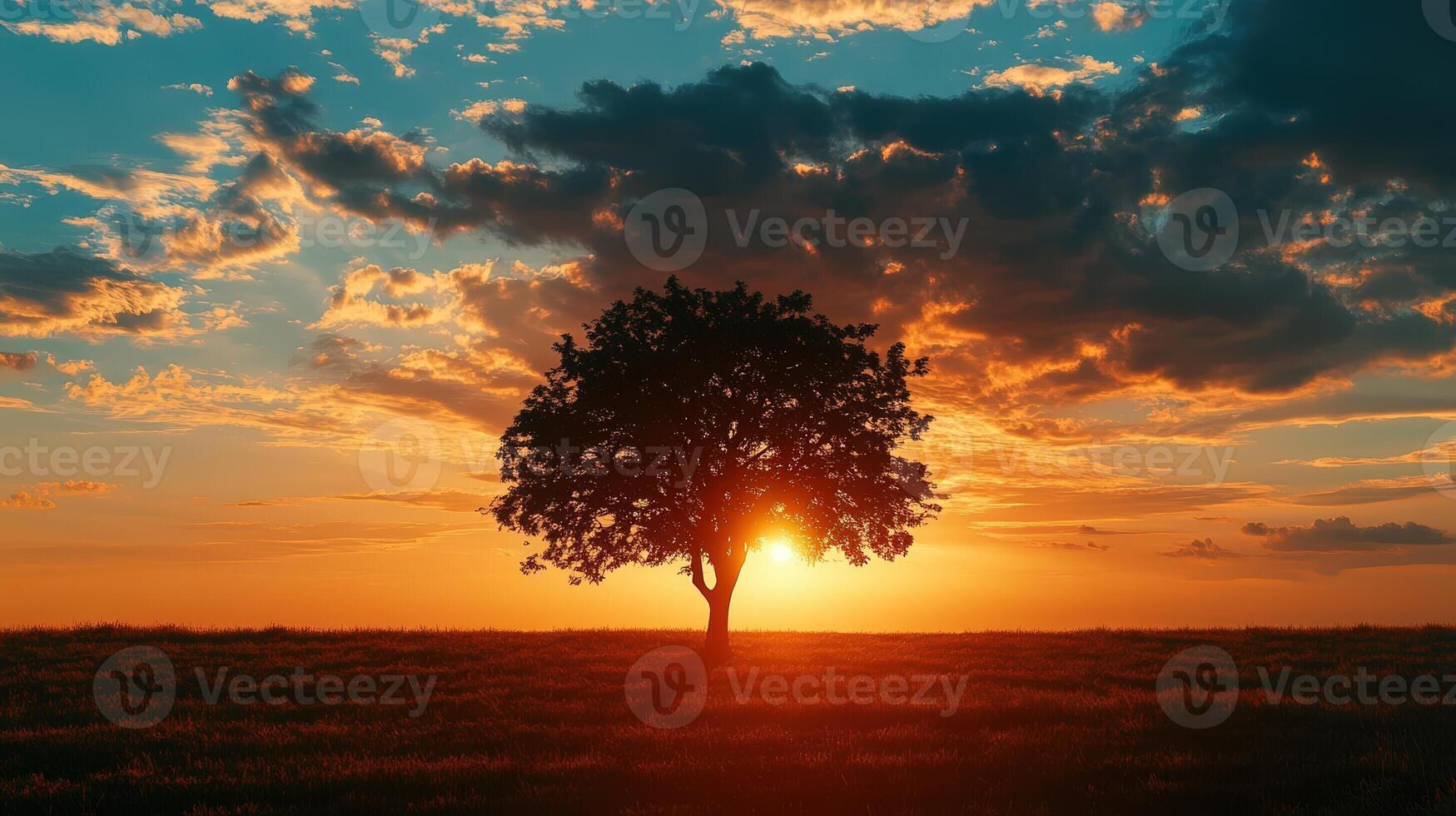 Silhouette tree stands against a vibrant sunset in a field landscape photo