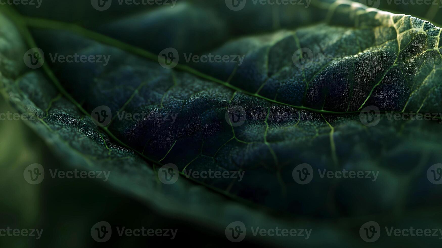 Detailed macro shot reveals the intricate textures of a vibrant green leaf photo