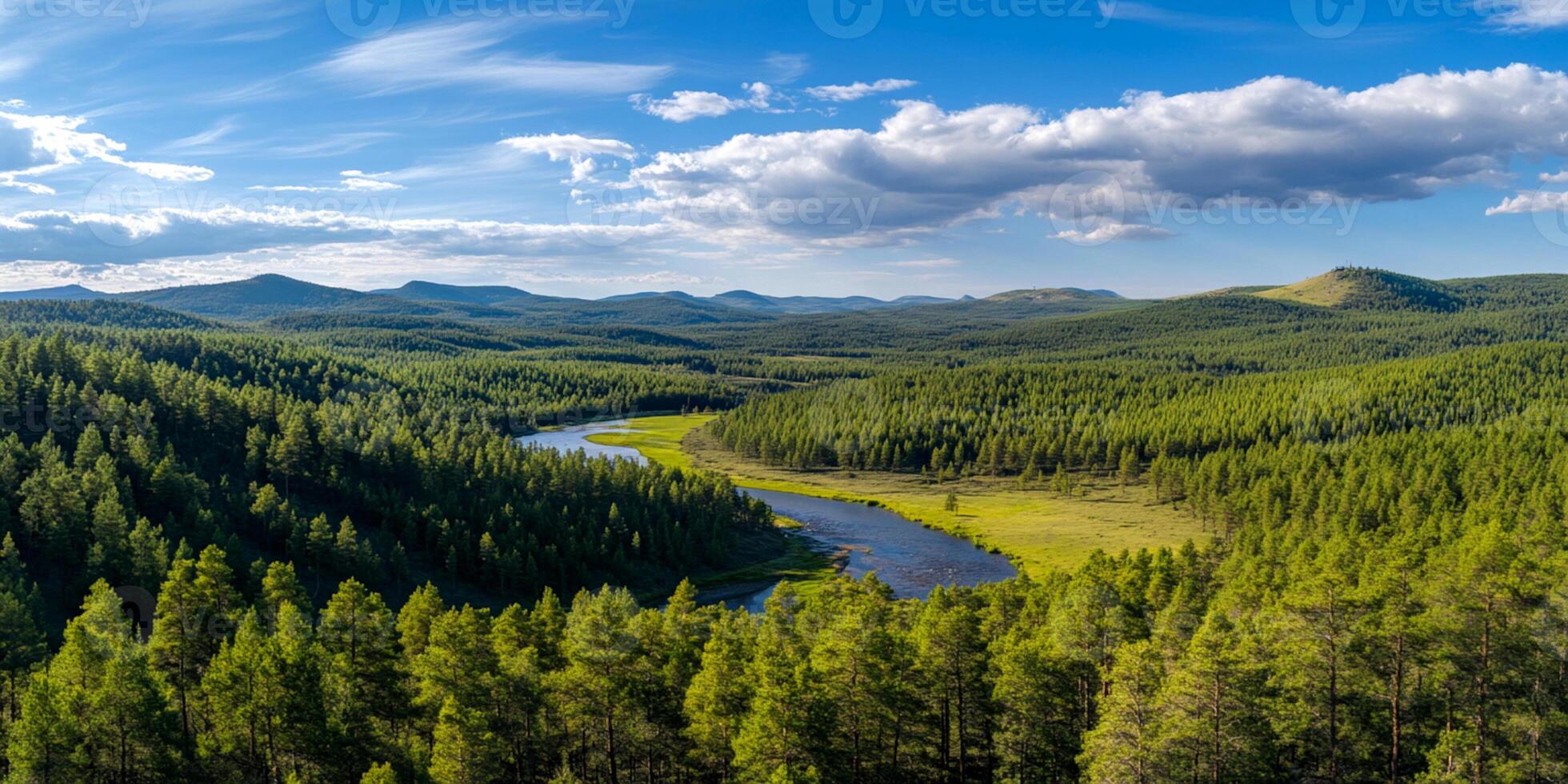 Scenic Aerial View of a River Winding Through a Lush Green Forest photo