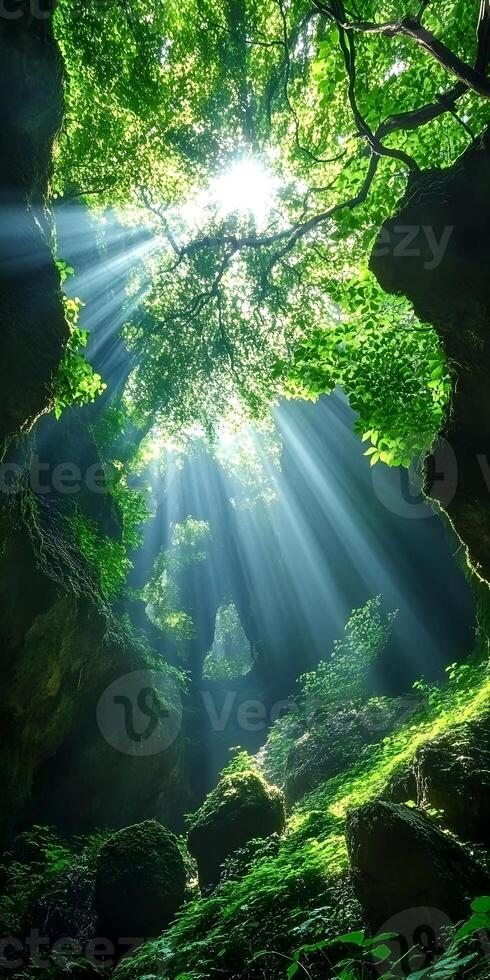 Sunlight Streaming Through Lush Green Forest Canopy in a Mystical Cave photo