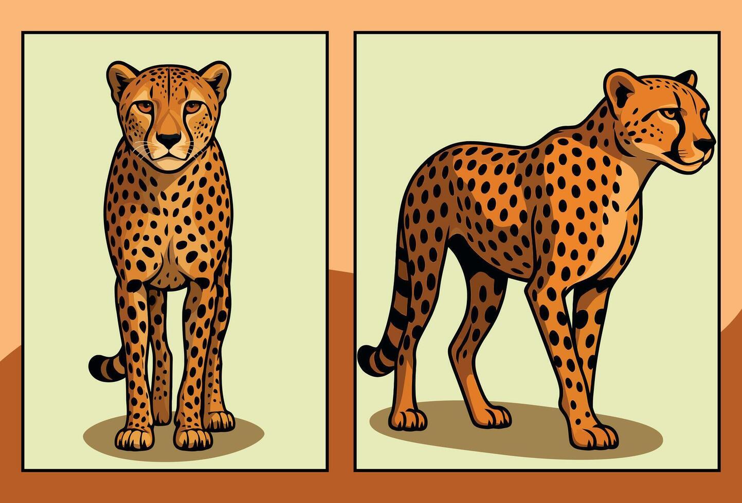 cheetah front and side view cartoon illustration vector