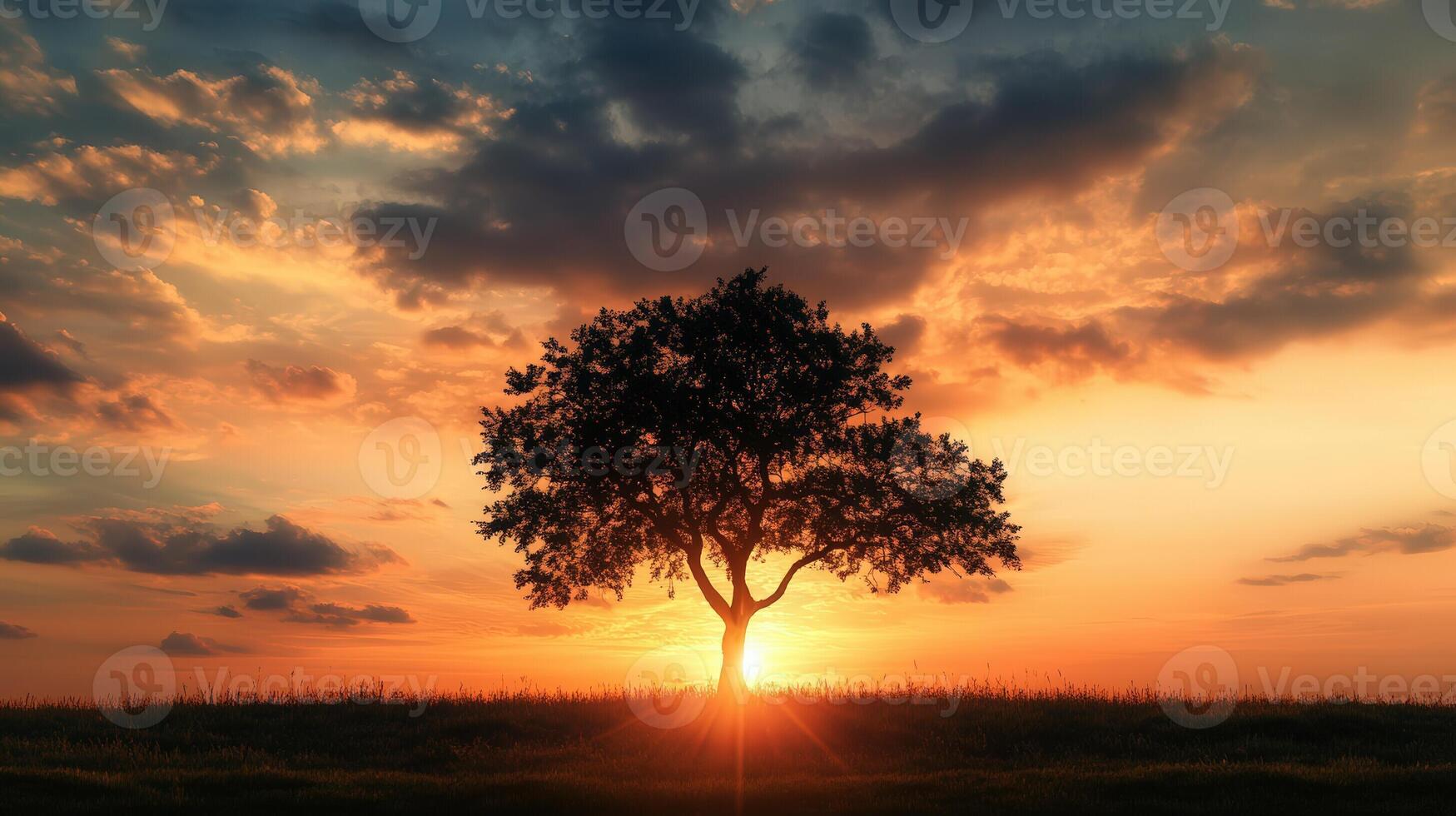 Silhouette of a Tree at Golden Sunset Glowing with Warm Light photo