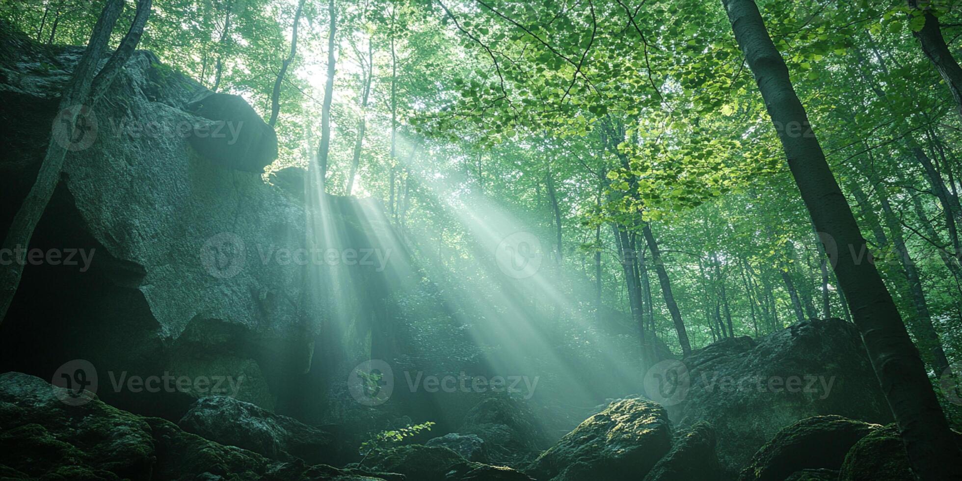 Sun Rays Streaming Through a Lush Green Forest Canopy in Summer photo
