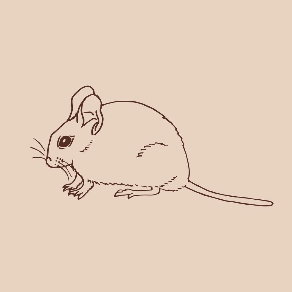 Mouse. Hand drawn vecto illustration vector