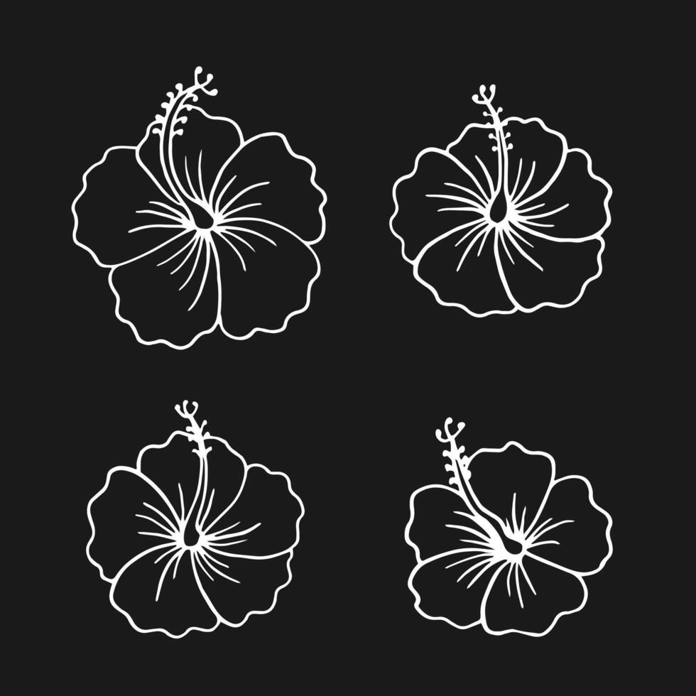 Set of hibiscus flower. Hand drawn illustration in outline style vector