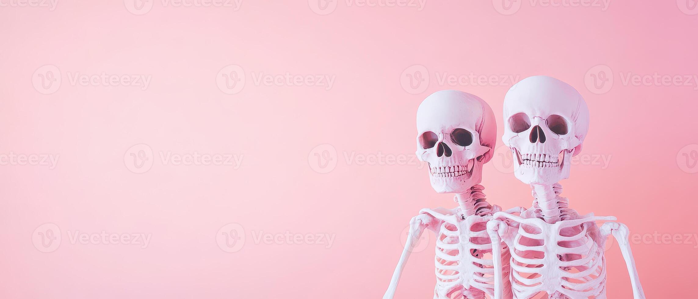 Two skeletons standing next to each other on a pink background photo