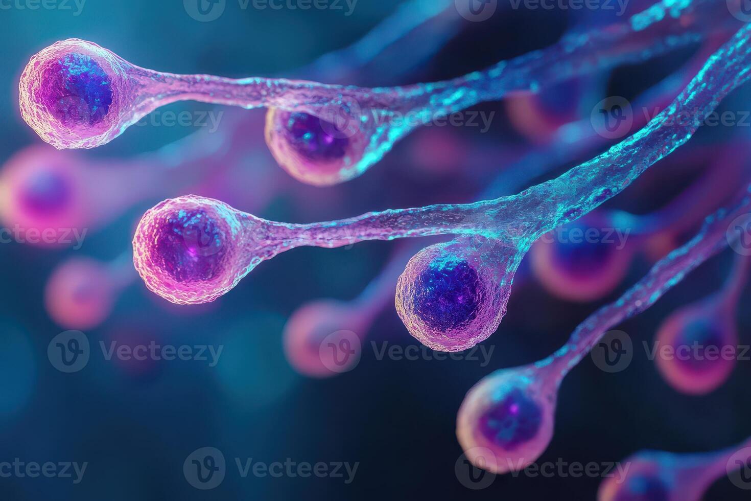 The cells of a plant are shown in this image photo