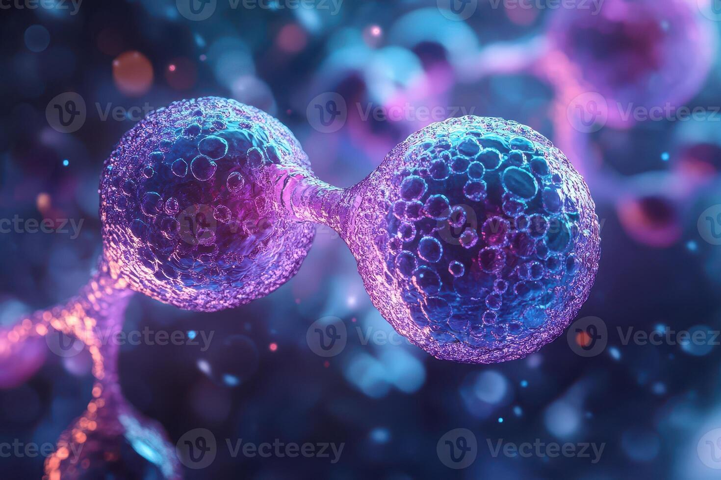 The human body is made up of many different cells photo