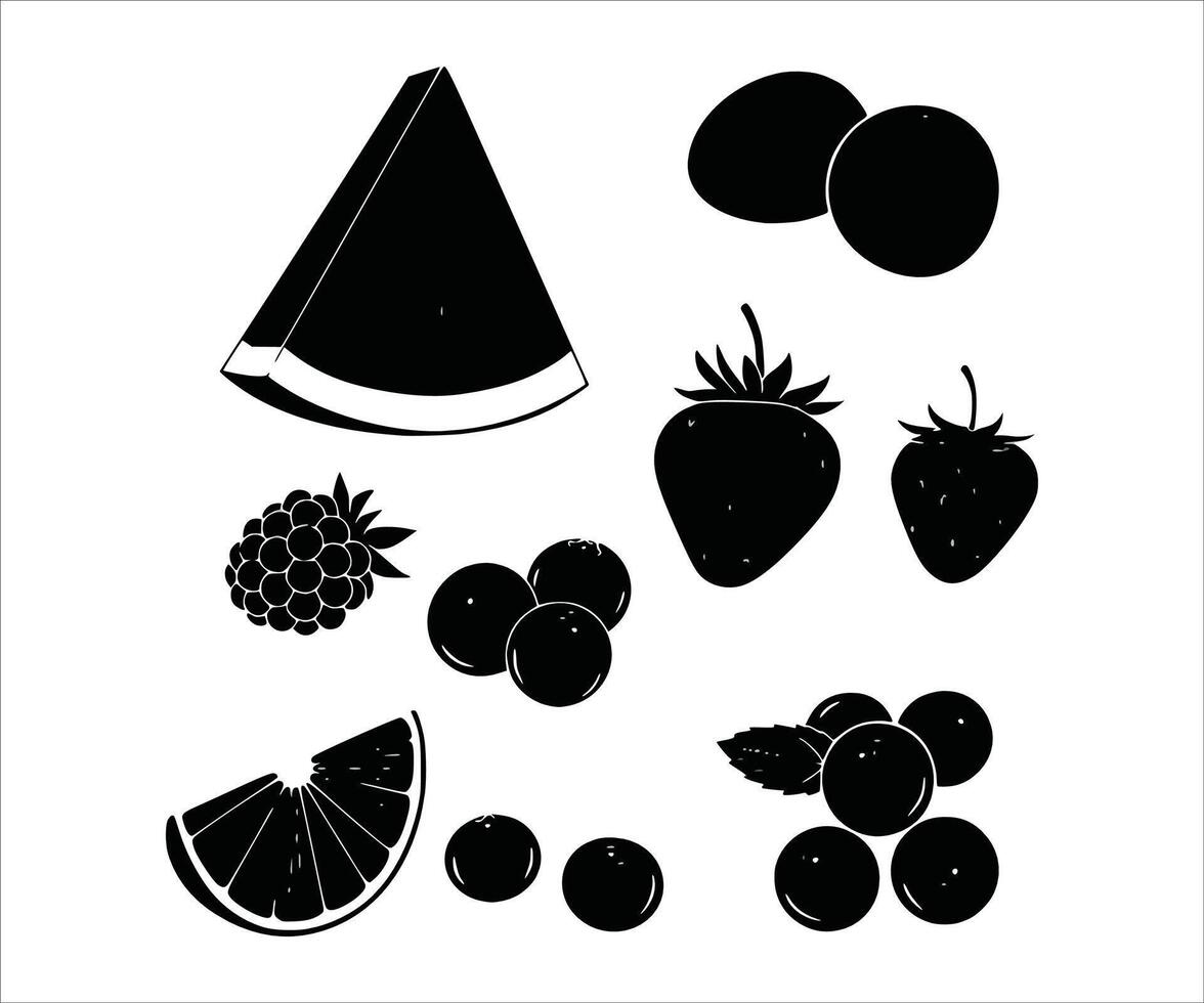 A selection of dark-hued summer fruits against a bright white background. vector