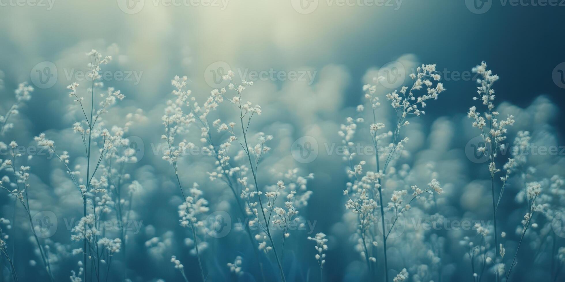Dreamy Flowers, Blue Haze Background, Soft Focus Floral Scene, Tranquil Moment photo