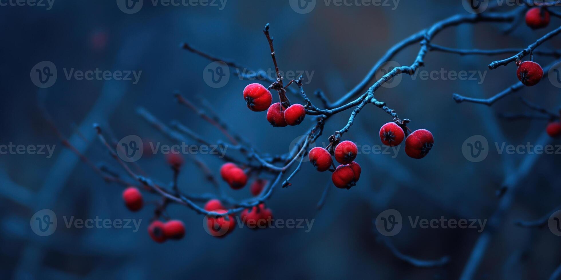 Red Berries on Branch. Enchanting Winter Beauty with Deep Blue Hues, Peaceful Nature Scene photo