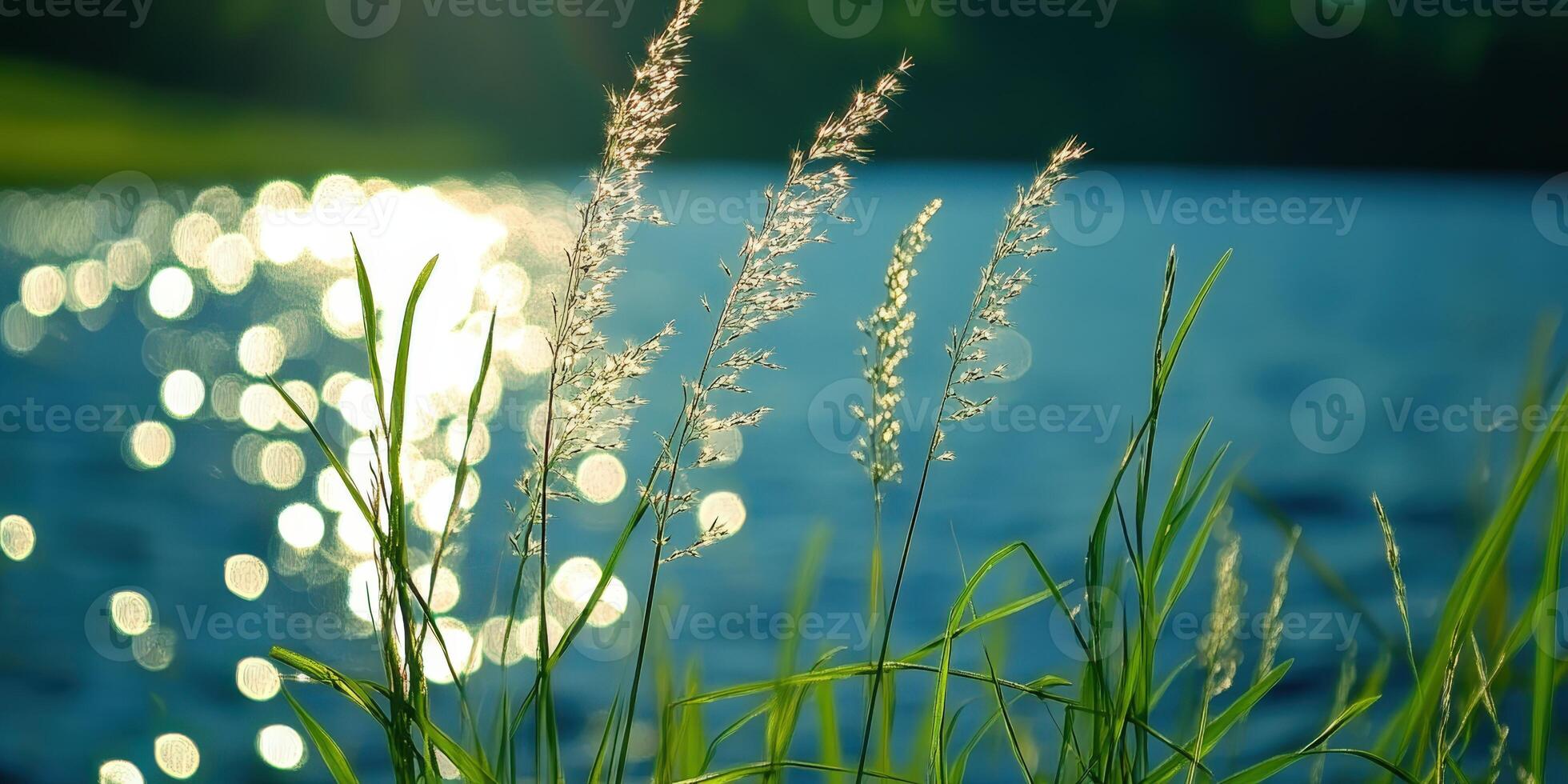 Grass Silhouette with Water Light Reflections Background, Nature Close-up photo