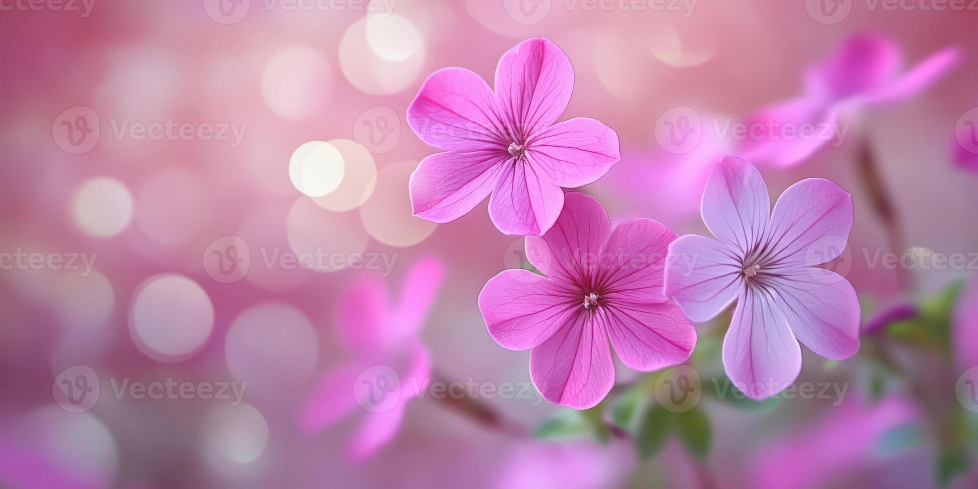 Graceful Pink Flowers on Gentle Background. Floral Beauty and Delicate Elegance photo