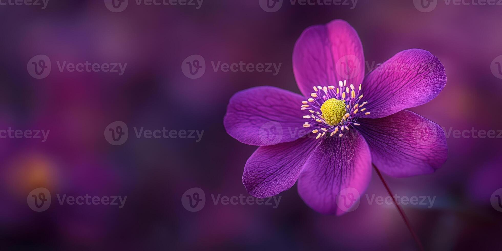 Captivating Purple Flower Bloom. Delicate Petals and Vibrant Colors, Floral Beauty, Garden photo