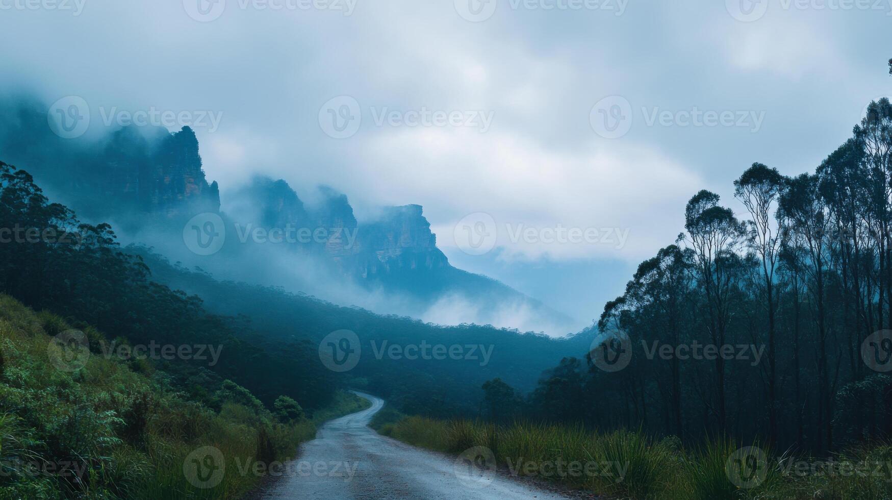 Fog covers tall rock mountains. Trees grow by empty path. Clouds are dense. The scene is cool and calm. photo