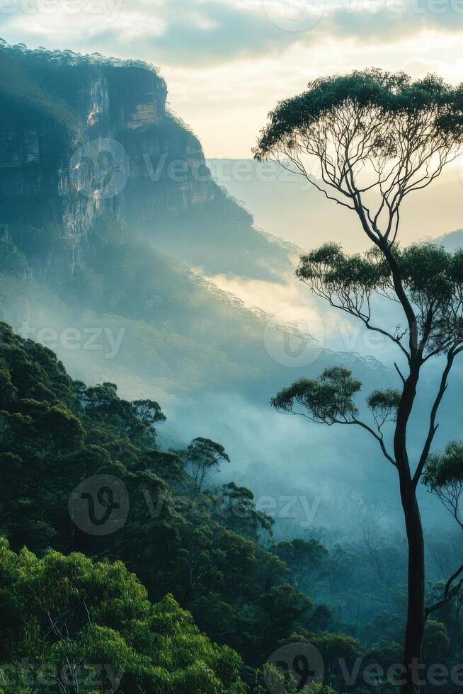 Mountain view. Cloudy sky above green forest. Fog rolls between trees. Landscape of tall rock formation. Scenic nature background. photo