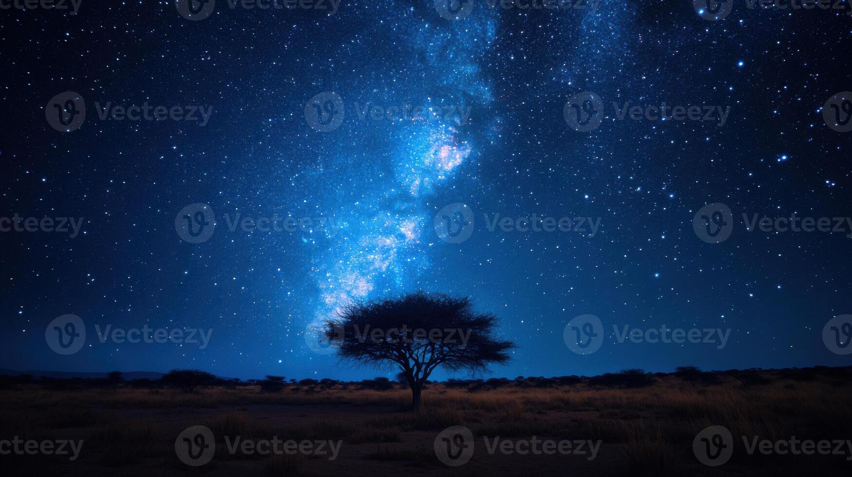 Night sky with many stars above open field. Single tree stands in foreground under night lights. Milky way across the horizon. photo