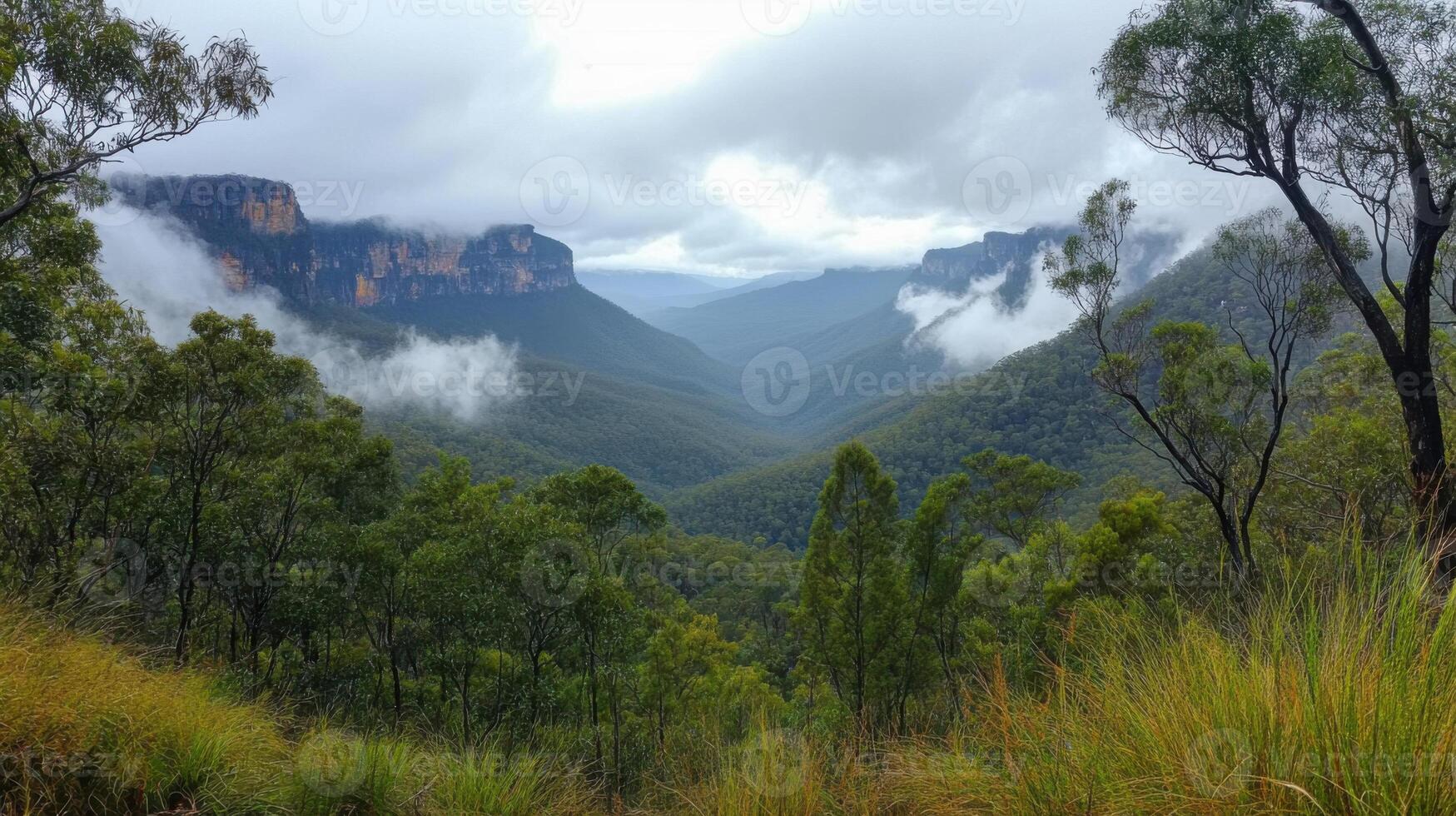 Green forest valley view. Mountains covered with white clouds and lush green trees. Scenic landscape with cloudy sky. Natural peaceful scene. photo