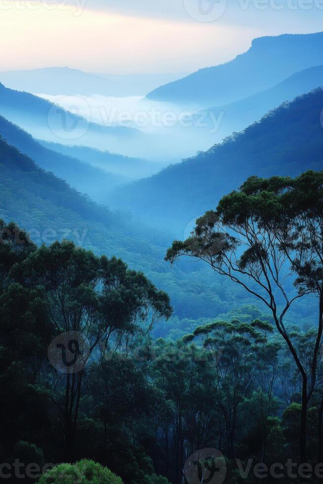 Blue mountains landscape. Dense green trees in foreground. Mountain range receding into misty distance. Peaceful natural vista. photo