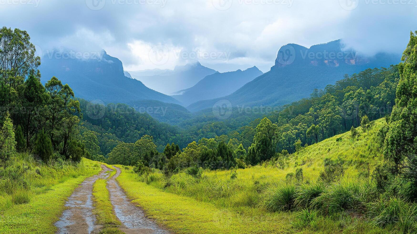 Green valley view. Mountain range with trees. Path going through nature. Clouds over mountains on nice day. Fresh air in beautiful area. photo