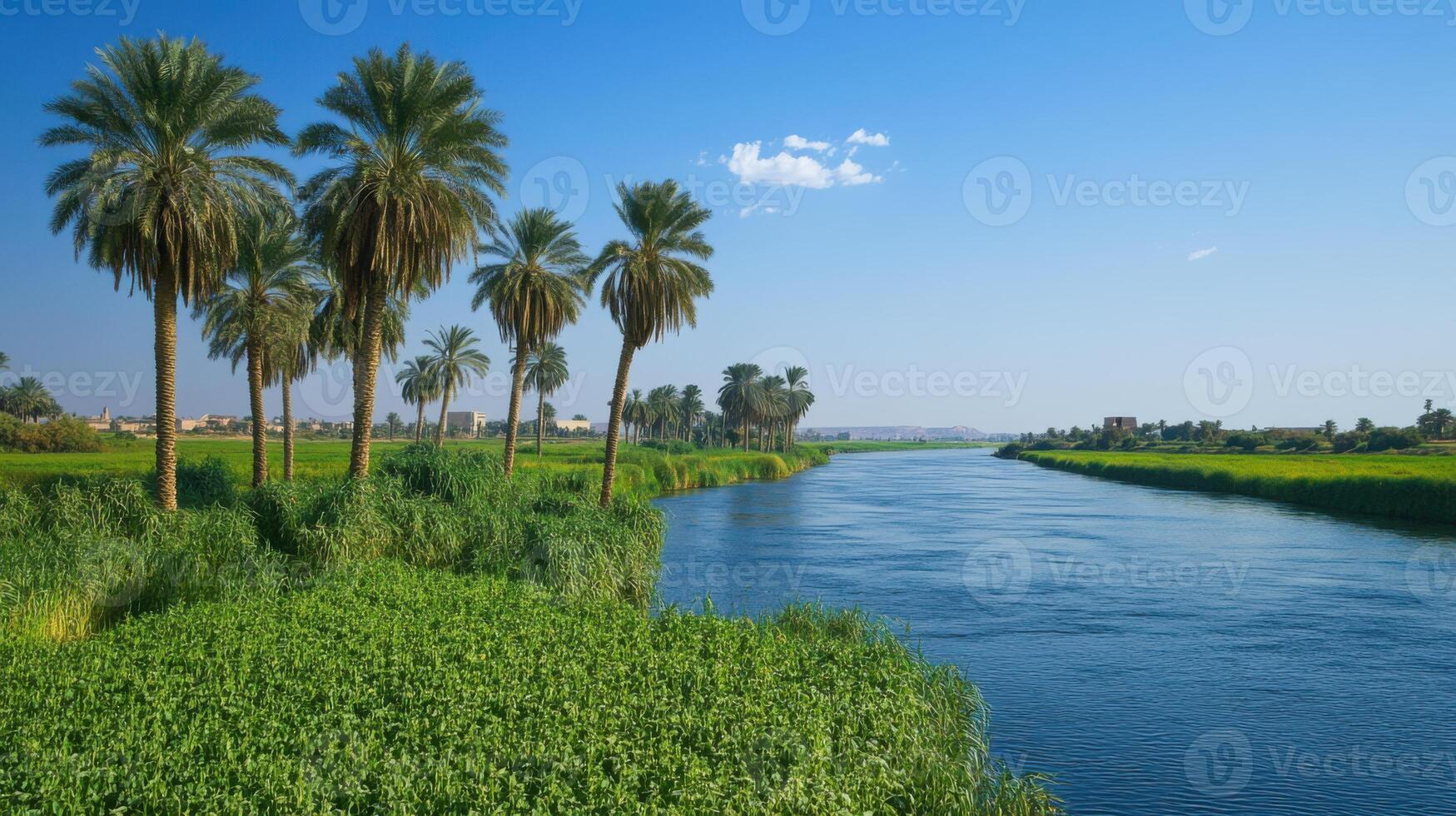 River view. Palm trees grow next to river bank. Clear blue sky above green fields. Water flows slowly during sunny day. photo