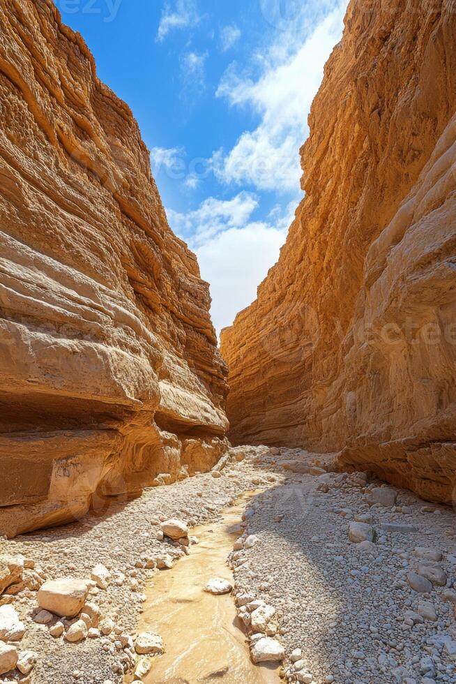 Desert canyon landscape. Tall rocks form a narrow path. Water flows on small pebbles. Bright sky is visible between rock formations. photo