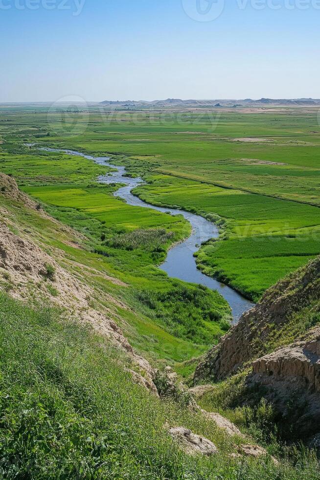 Green grass landscape with small river flowing through the valley in the sunny day. Scenic open field with creek and blue sky. Clear view of river from hill. photo