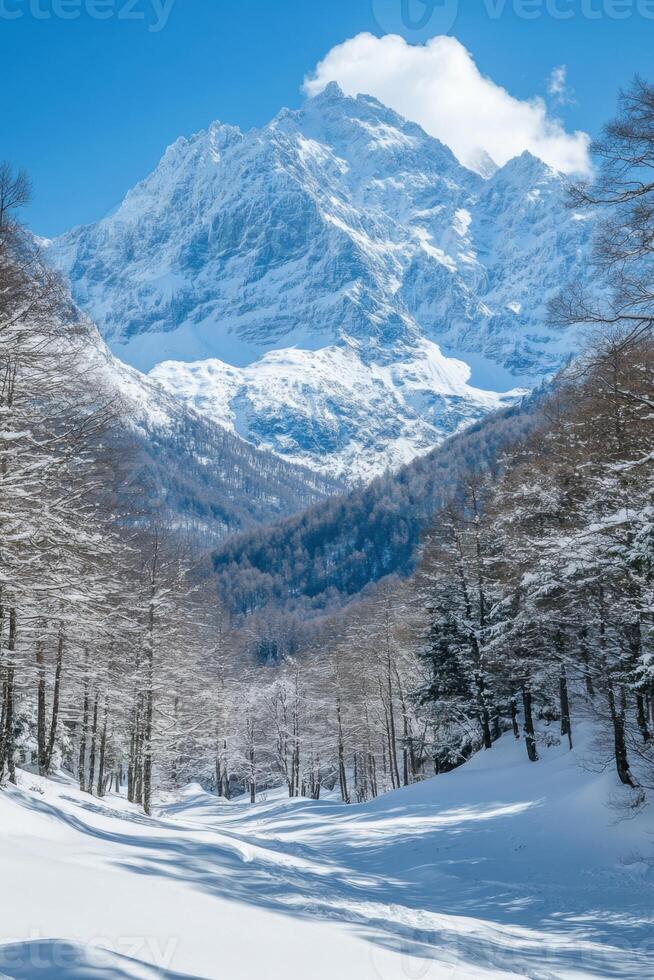 Snowy mountain peak view. Winter season landscape. Tall
