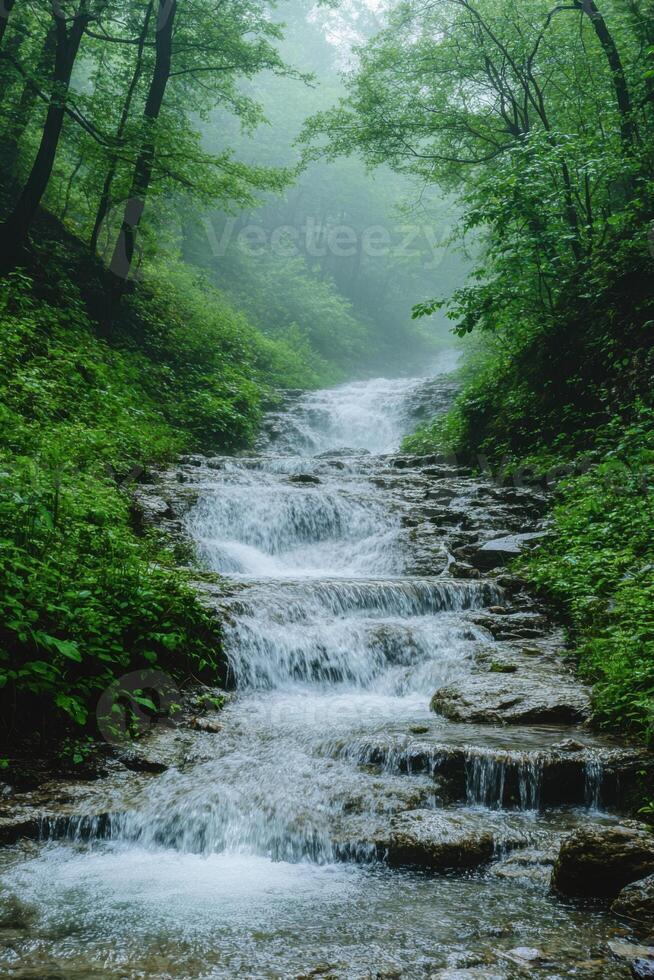 Forest stream flows down rocks. Green trees on banks. Water cascade in woodland. Nature scene with water movement. Beautiful natural landscape. photo