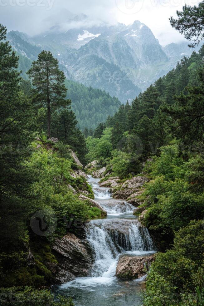Mountain river flows through green forest. Water cascades over rocks. Trees surround the stream with misty mountain peaks in distance. photo