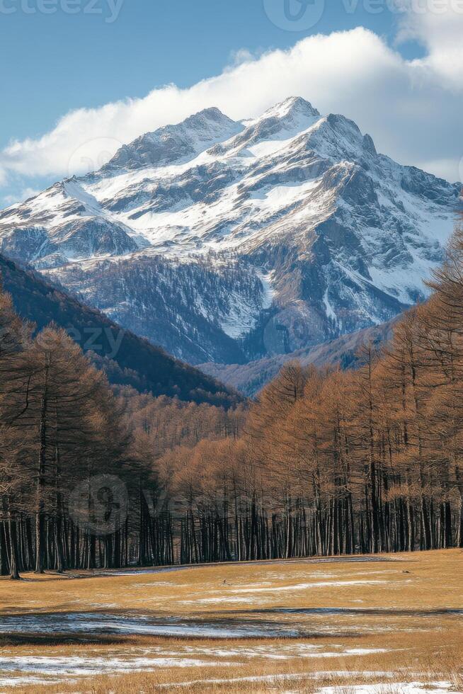 Mountain peak with snow. Trees stand tall. Valley view. Sky is blue. Clouds pass by. Forest on plain. photo
