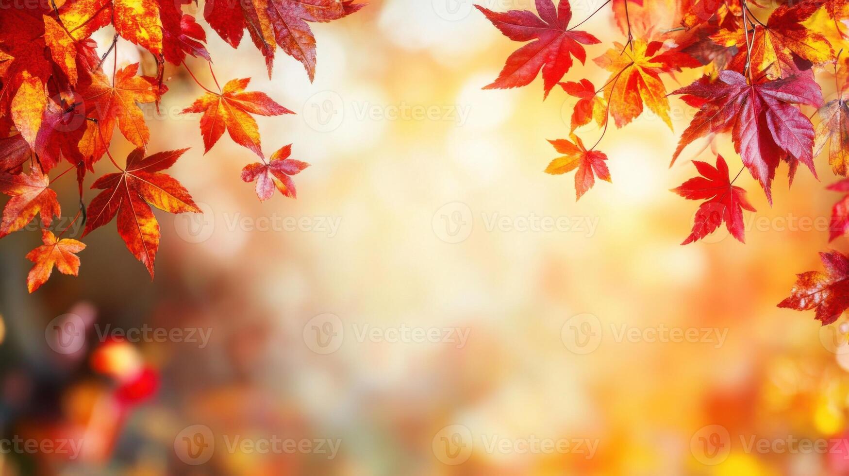 Bright orange and red maple leaves border with soft light. Autumn scene. Fall foliage branches hanging down. Natural fall leaf frame on sunny background. photo