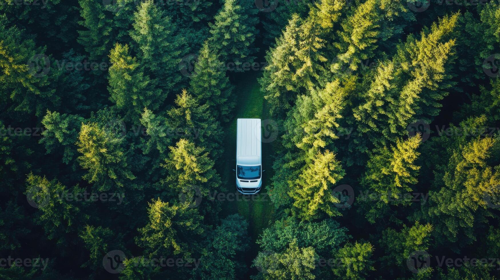 White van driving on path. Aerial view of vehicle through dense pine forest trees with sunlight shining through canopy. photo