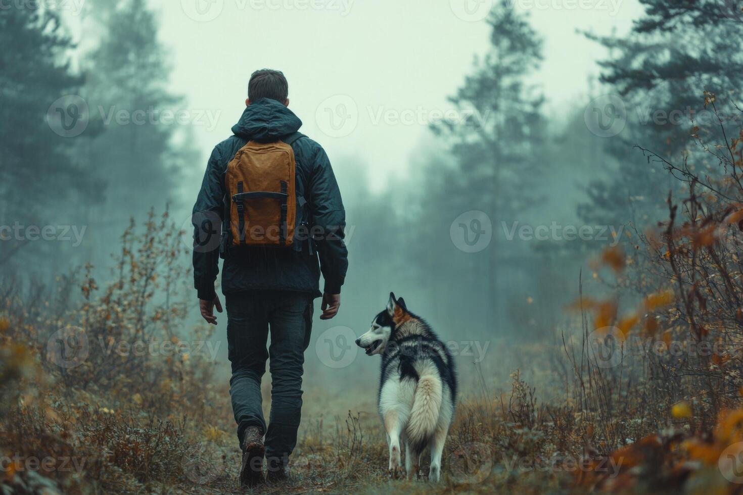 Man with backpack and dog walk away in forest. Foggy landscape with trees and plants in fall. Exploring nature on a hiking trail. photo