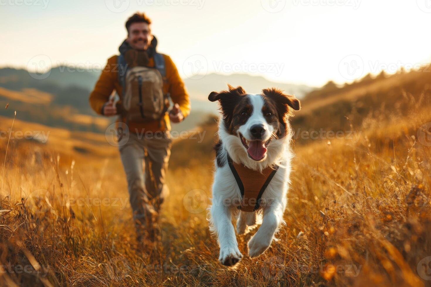 Happy dog running towards camera during hike with owner in sunny golden field on hilltop. Man with backpack enjoys adventure with pet friend. photo