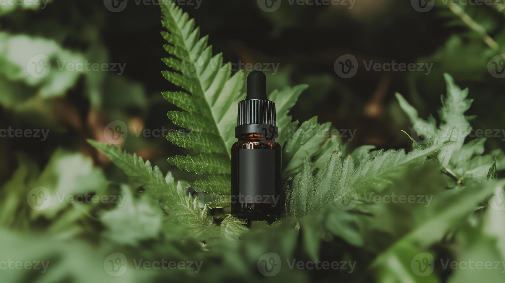 A bottle of cbd oil is surrounded by ferns photo