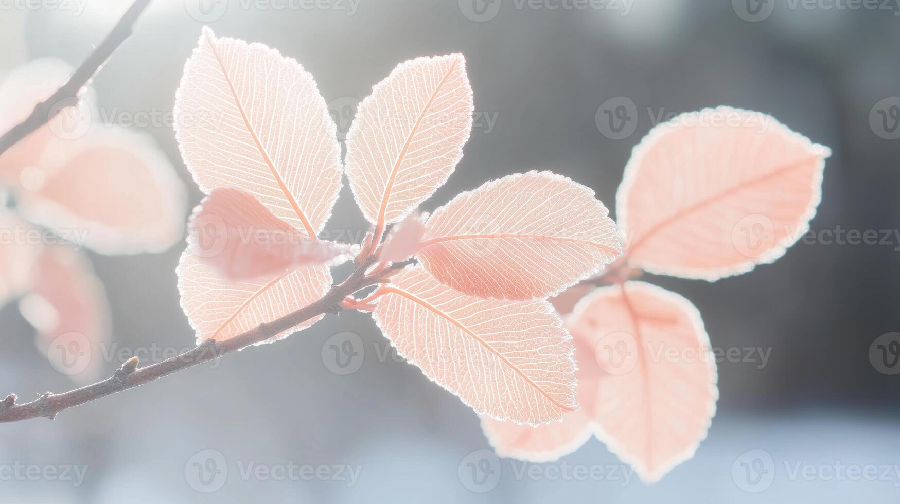 Soft focus on delicate orange leaves with sunlight photo