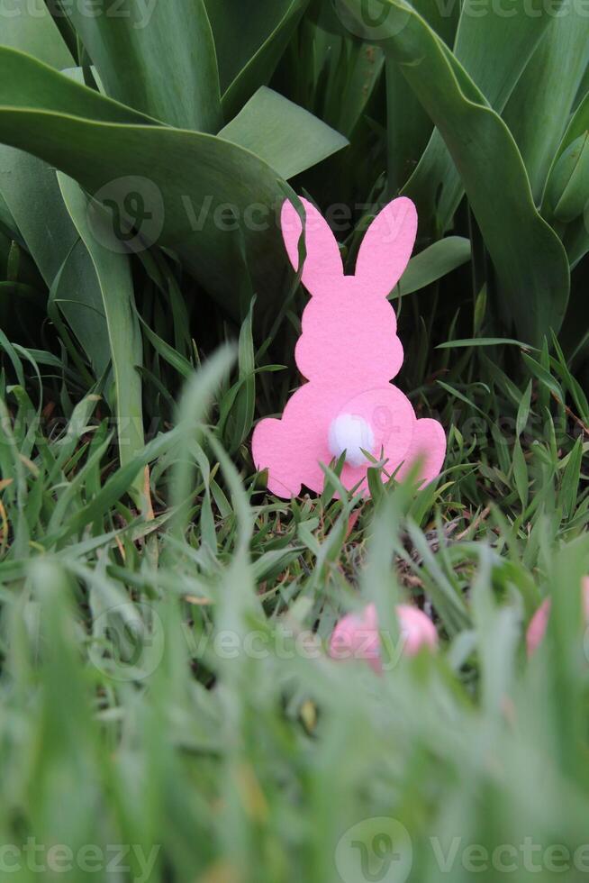 A pink Easter bunny is hidden in the grass. The depth of the frame is created by the eggs hidden there. photo