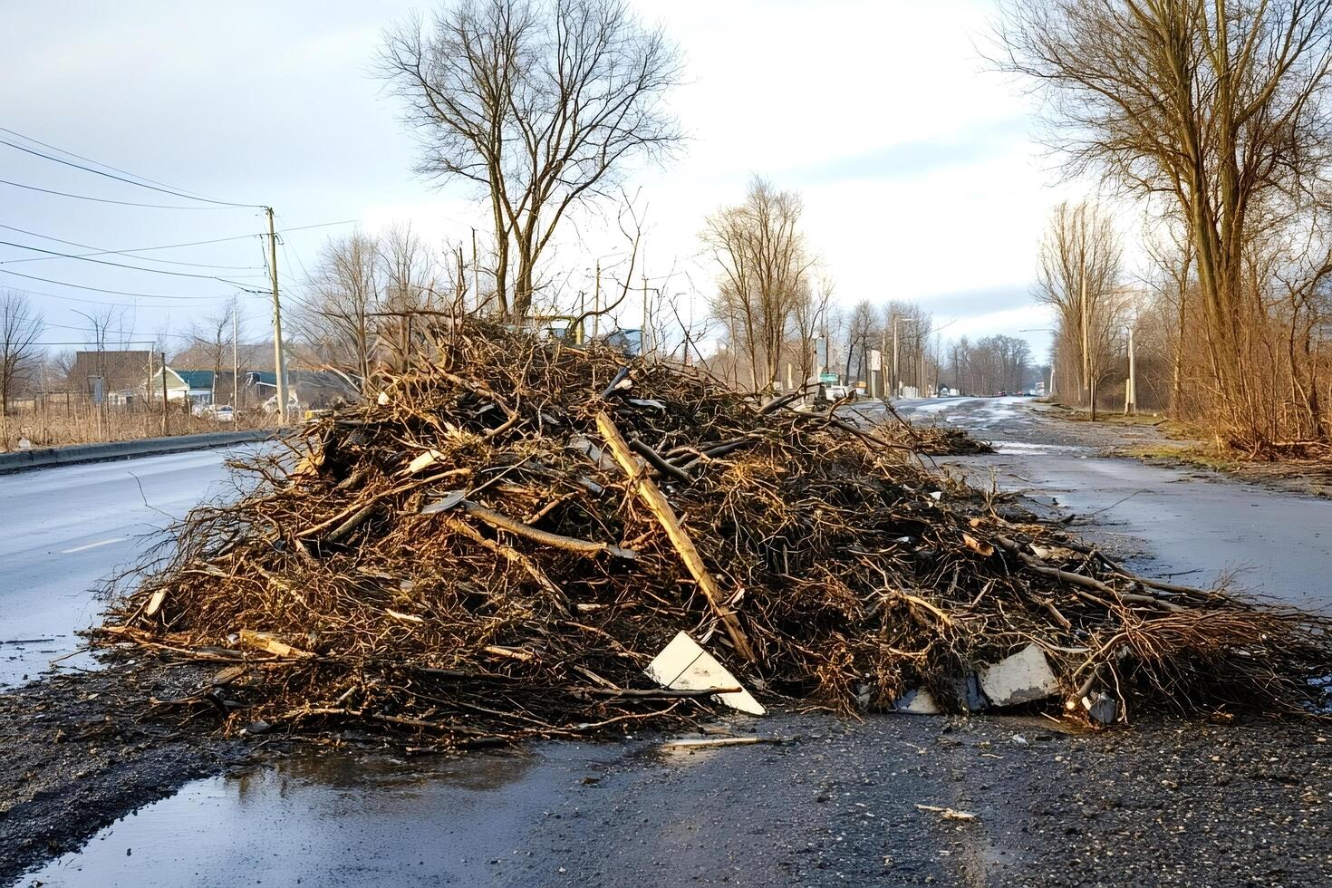 Pile of branches and debris blocking road after storm photo
