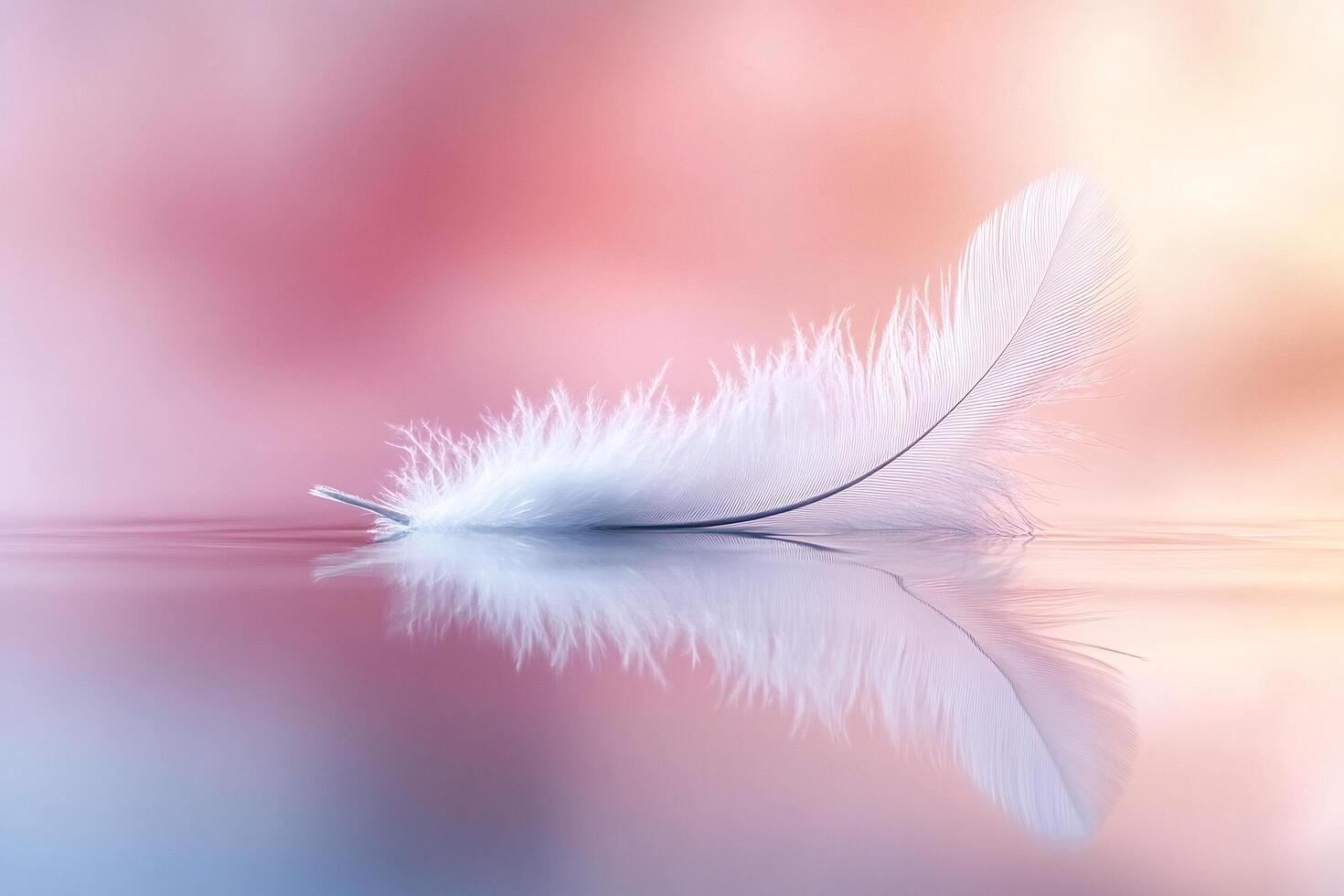 Single white feather floating on water with pastel background photo