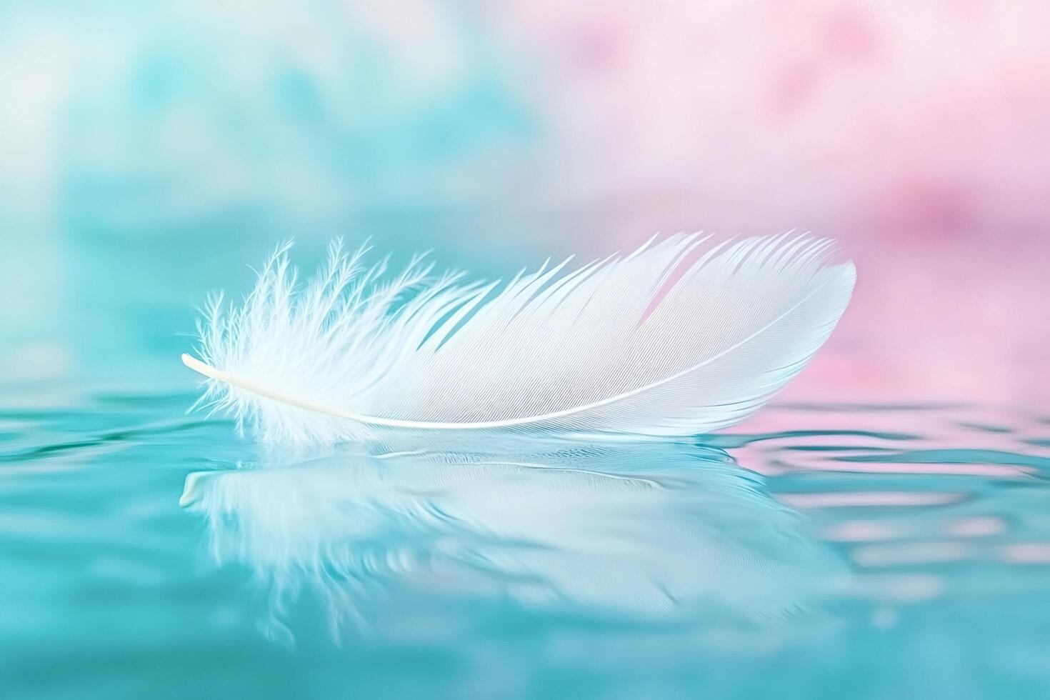 Single white feather floating on gently rippled turquoise water photo