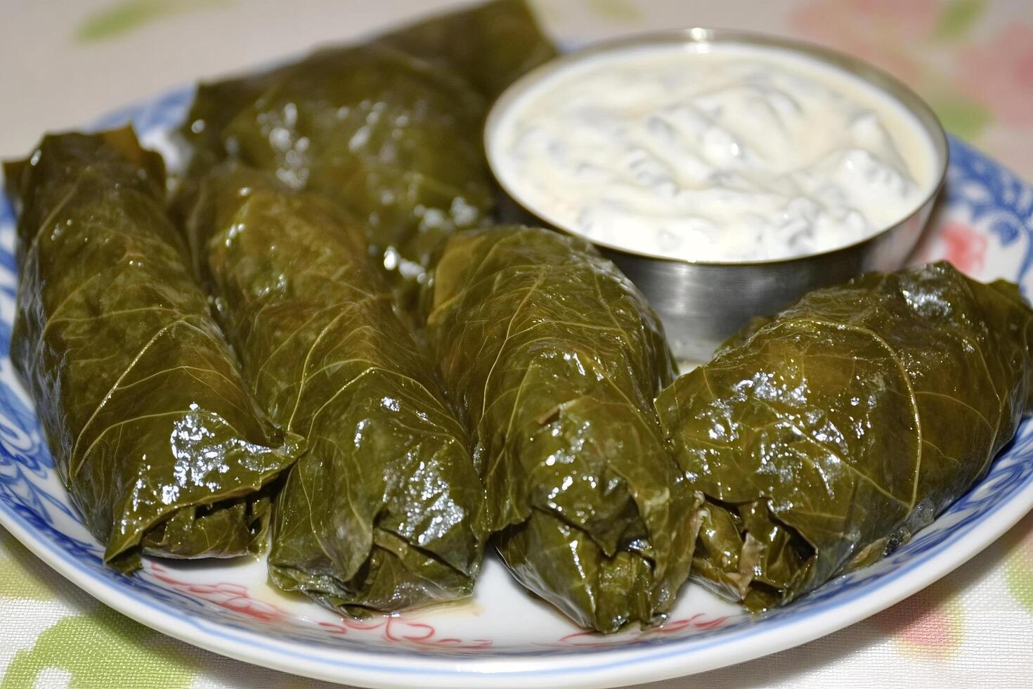 Stuffed grape leaves with yogurt sauce on decorative plate photo