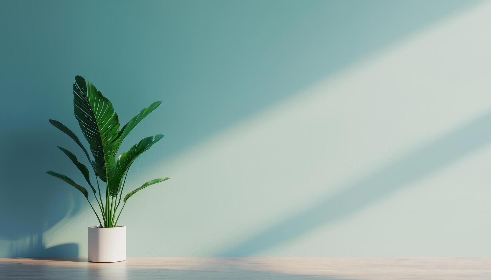 Sophisticated Minimalist Interior Design with Green Plant Empty Room Background Copyspace Natural Light photo