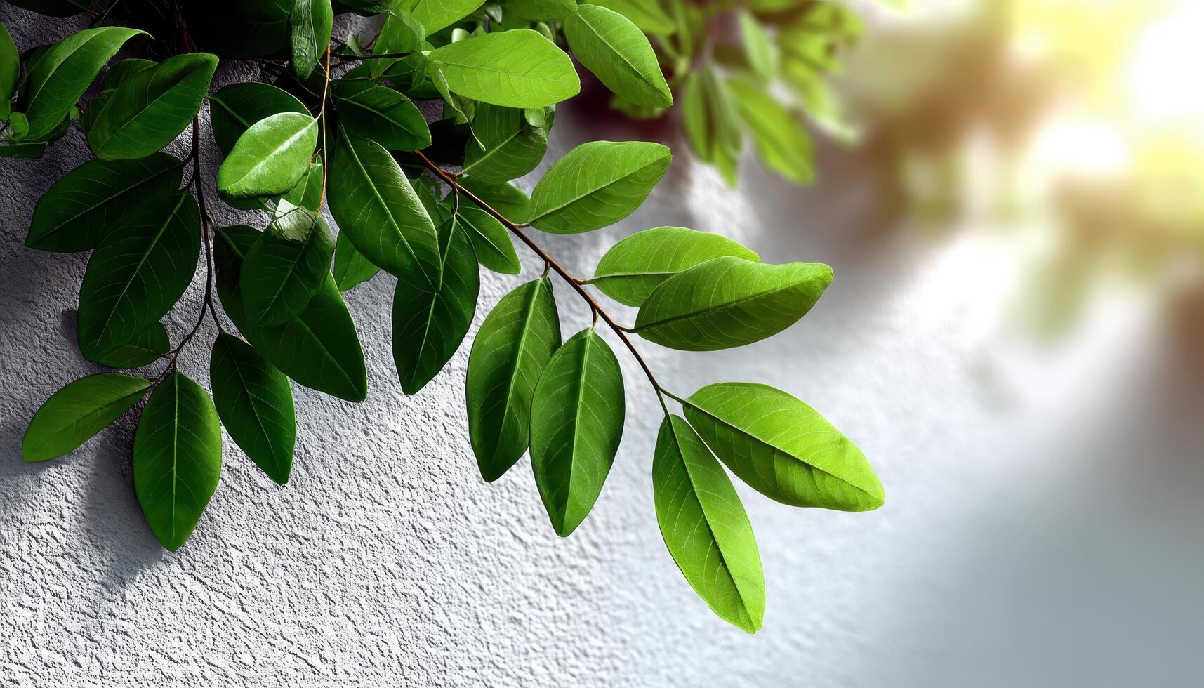 Vibrant Green Leaves Close-Up Nature Background Copyspace for Text Soft Light Environment photo