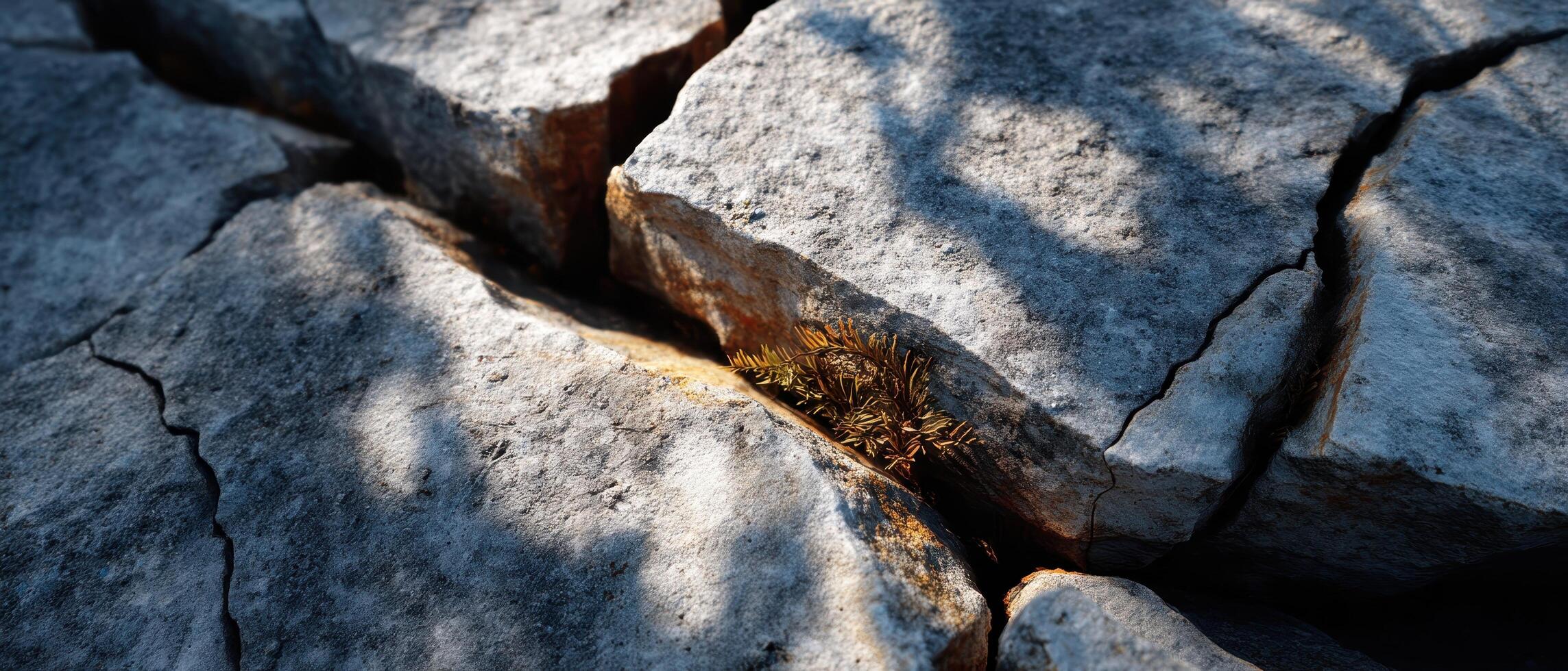 Sunlit Cracked Boulder Background with Copyspace Nature Close-Up Intimate View photo