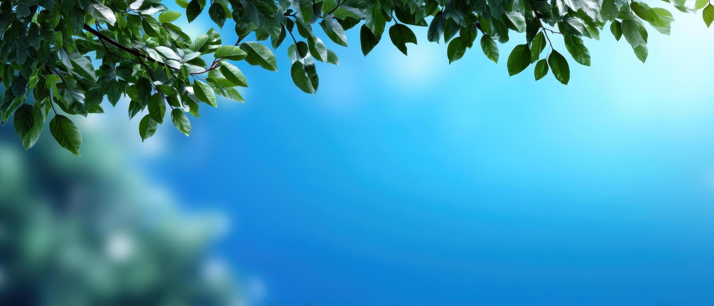 Nature Scene with Fresh Green Leaves Spring Sky Background Copyspace Soft Gradient Blue photo
